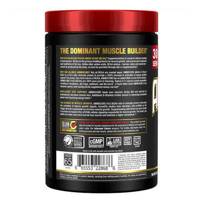 ALLMAX AMINOCORE BCAA Powder – Intra & Post-Workout Recovery, Gluten Free, Sweet Tea 315 g