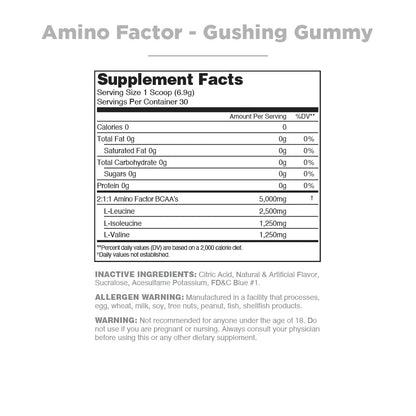 Nutrithority Amino Factor Instantized BCAAs – Gushing Gummy, 30 Servings, Sugar Free