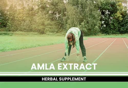 Amla Extract 365 Capsules – Pure Original Ingredients, Lab Verified