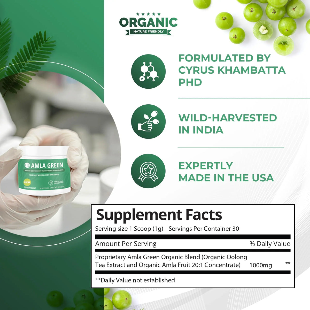 Amla Green: 20x Concentrated Amla Powder + Decaf Green Tea | Organic, Vegan, 90 Servings BritishVita | Premium UK Vitamins & Wellness Supplements