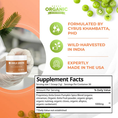 Amla Green 20x Concentrated Amla Powder with Pumpkin Spice – 90 Servings BritishVita | Premium UK Vitamins & Wellness Supplements