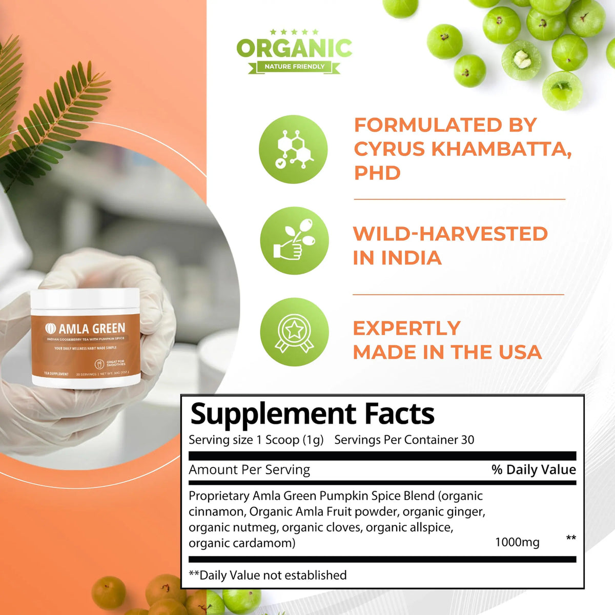 Amla Green 20x Concentrated Amla Powder with Pumpkin Spice – 90 Servings BritishVita | Premium UK Vitamins & Wellness Supplements