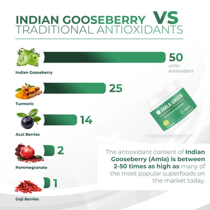 Amla Green: 20x Concentrated Amla Powder + Decaf Green Tea | Organic, Vegan, 90 Servings BritishVita | Premium UK Vitamins & Wellness Supplements