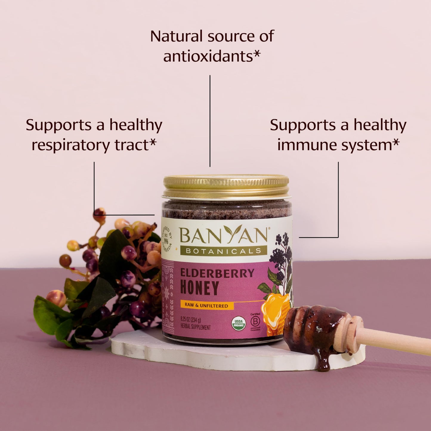 Banyan Botanicals Organic Elderberry Honey – Immune Support for Kids & Adults (8.25 oz)