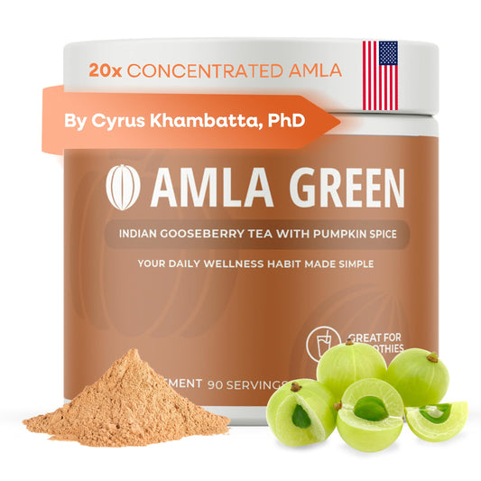 Amla Green 20x Concentrated Amla Powder with Pumpkin Spice – 90 Servings BritishVita | Premium UK Vitamins & Wellness Supplements