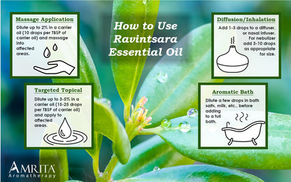 Amrita Aromatherapy Ravintsara Essential Oil – 100% Pure Cinnamomum camphora, USDA Organic, 10ml