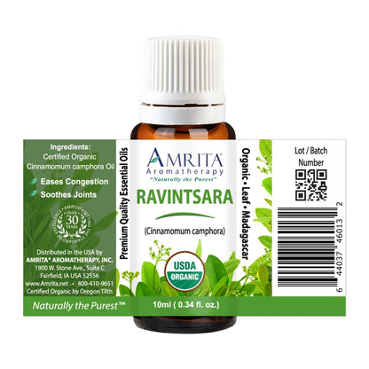 Amrita Aromatherapy Ravintsara Essential Oil – 100% Pure Cinnamomum camphora, USDA Organic, 10ml
