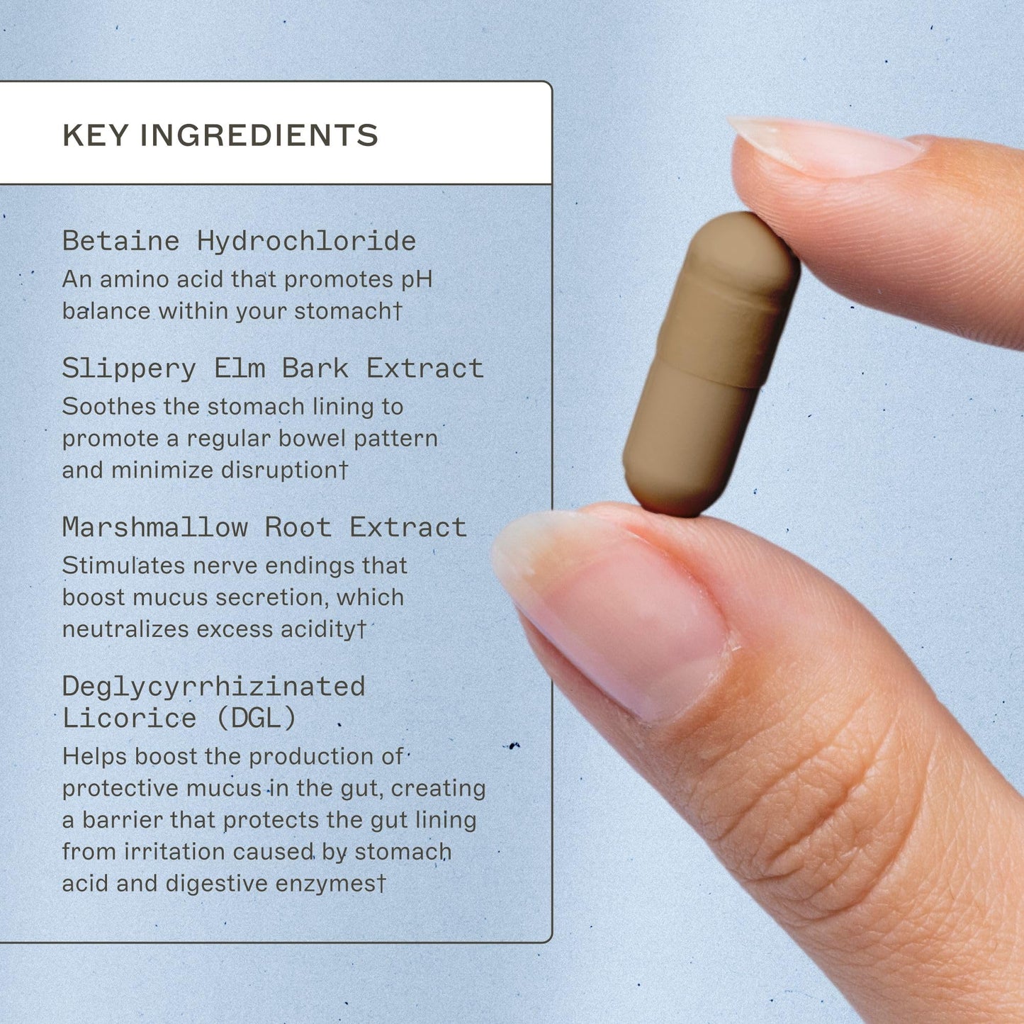 Amy Myers MD Adrenal Support | Adaptogenic Herb Supplement with Ashwagandha & Rhodiola - 180 Capsules