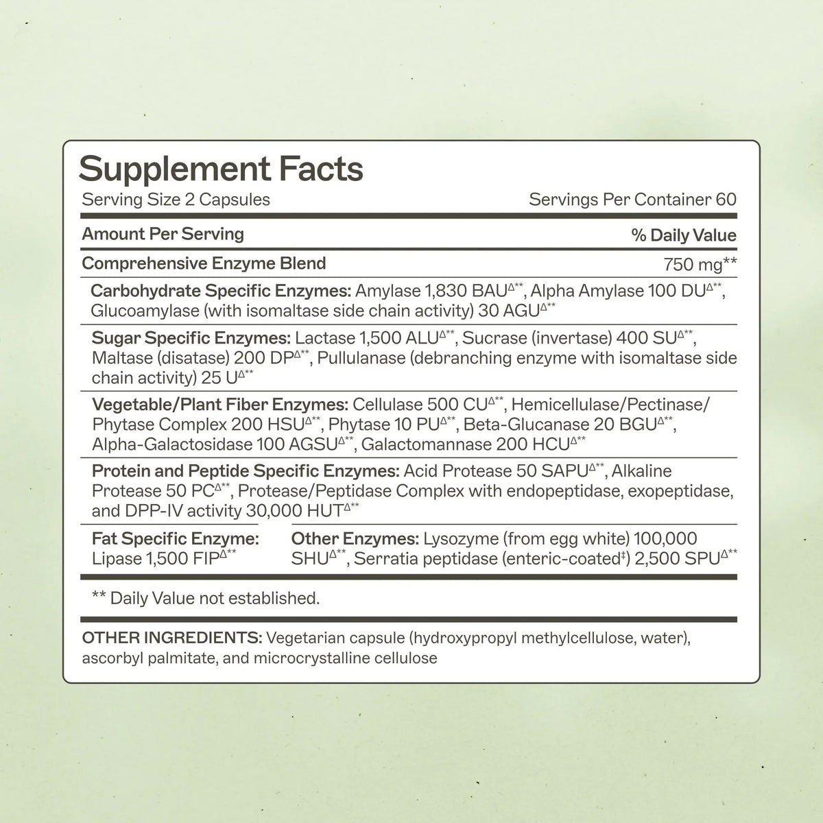 Amy Myers MD Complete Enzymes – Gut Care & Digestive Health (120 Capsules) BritishVita | Premium UK Vitamins & Wellness Supplements