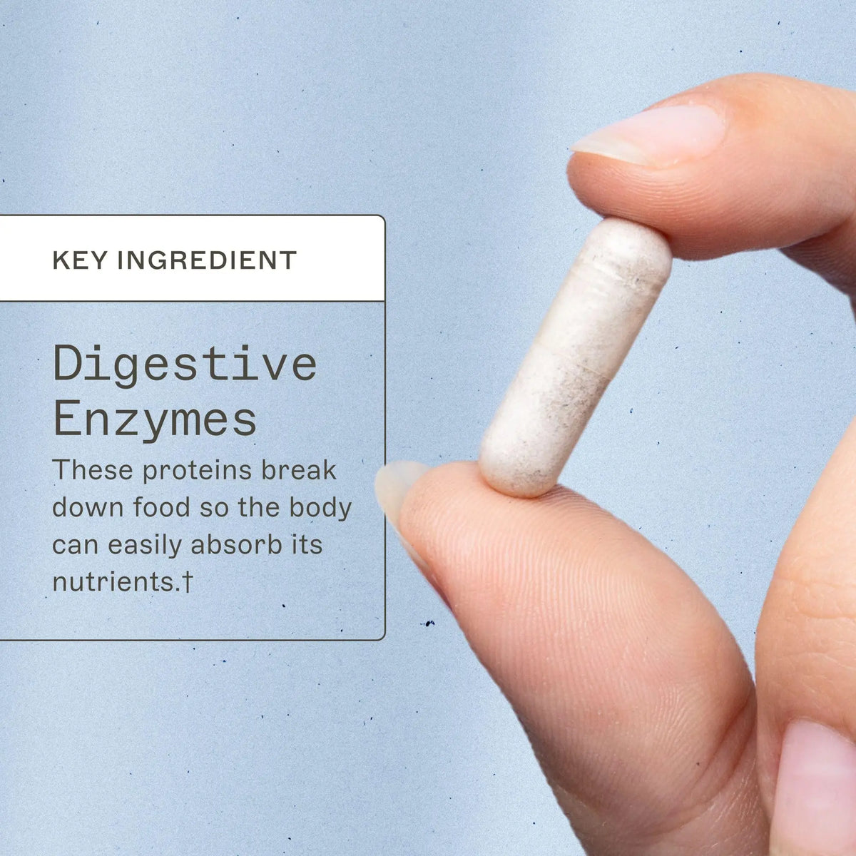 Amy Myers MD Complete Enzymes – Gut Care & Digestive Health (120 Capsules) BritishVita | Premium UK Vitamins & Wellness Supplements
