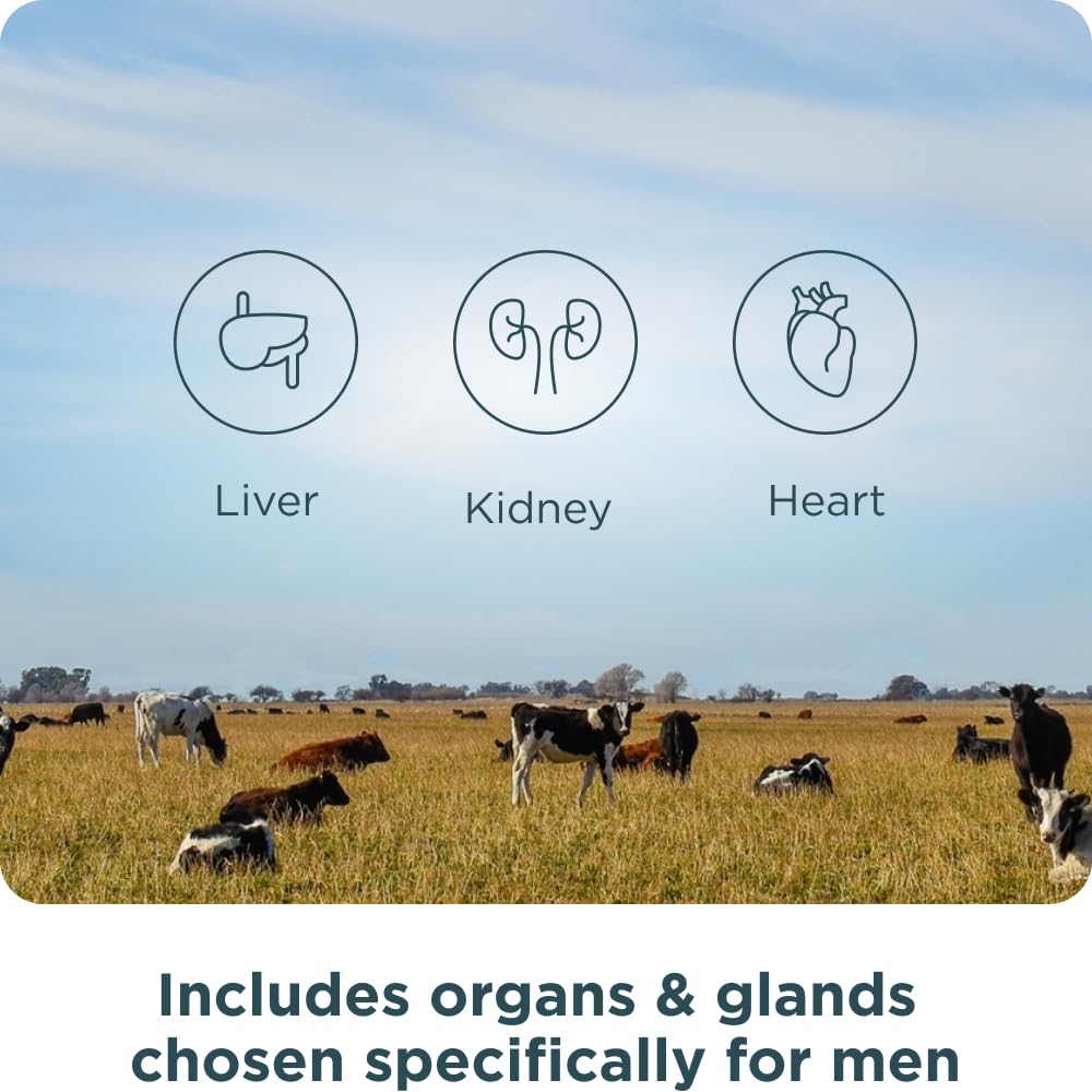 Ancient Nutrition Once Daily Organs for Men – Grass-Fed & Wild Organ Complex (30 Ct)