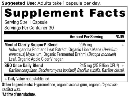 Ancient Nutrition Probiotics for Mental Clarity – Once Daily 30 Count, 25 Billion CFUs