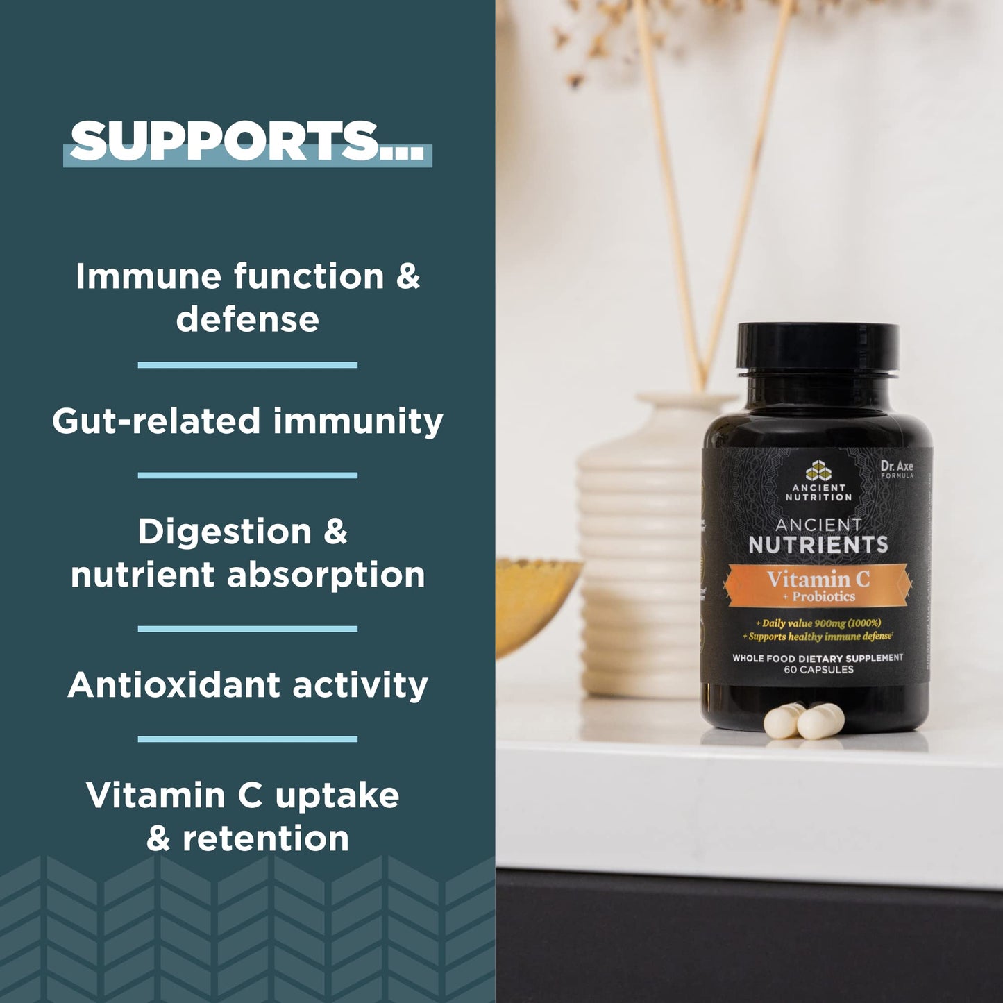 Ancient Nutrition Probiotics & Vitamin C – Immune and Gut Health