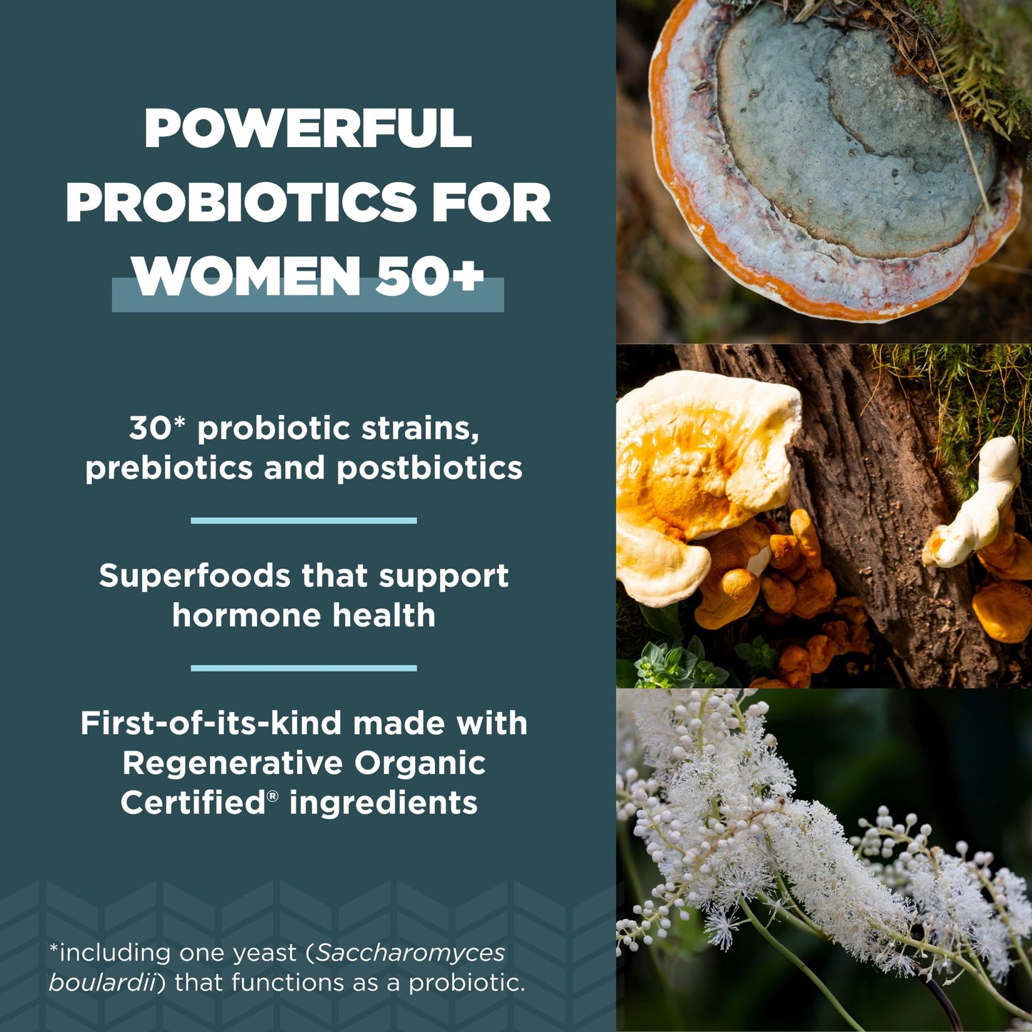 Ancient Nutrition Probiotics for Women 50+ | Regenerative Organic Certified | 25B CFUs | 30 Count | Once Daily