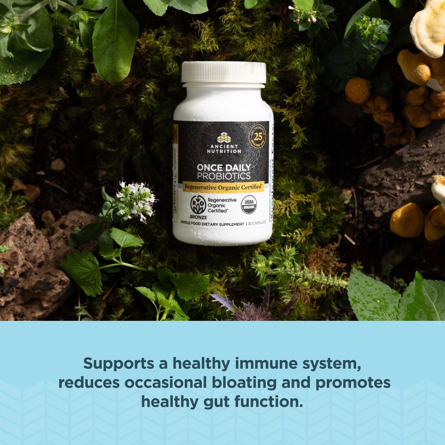 Ancient Nutrition Regenerative Organic Probiotics – 25B CFUs, 30 Count