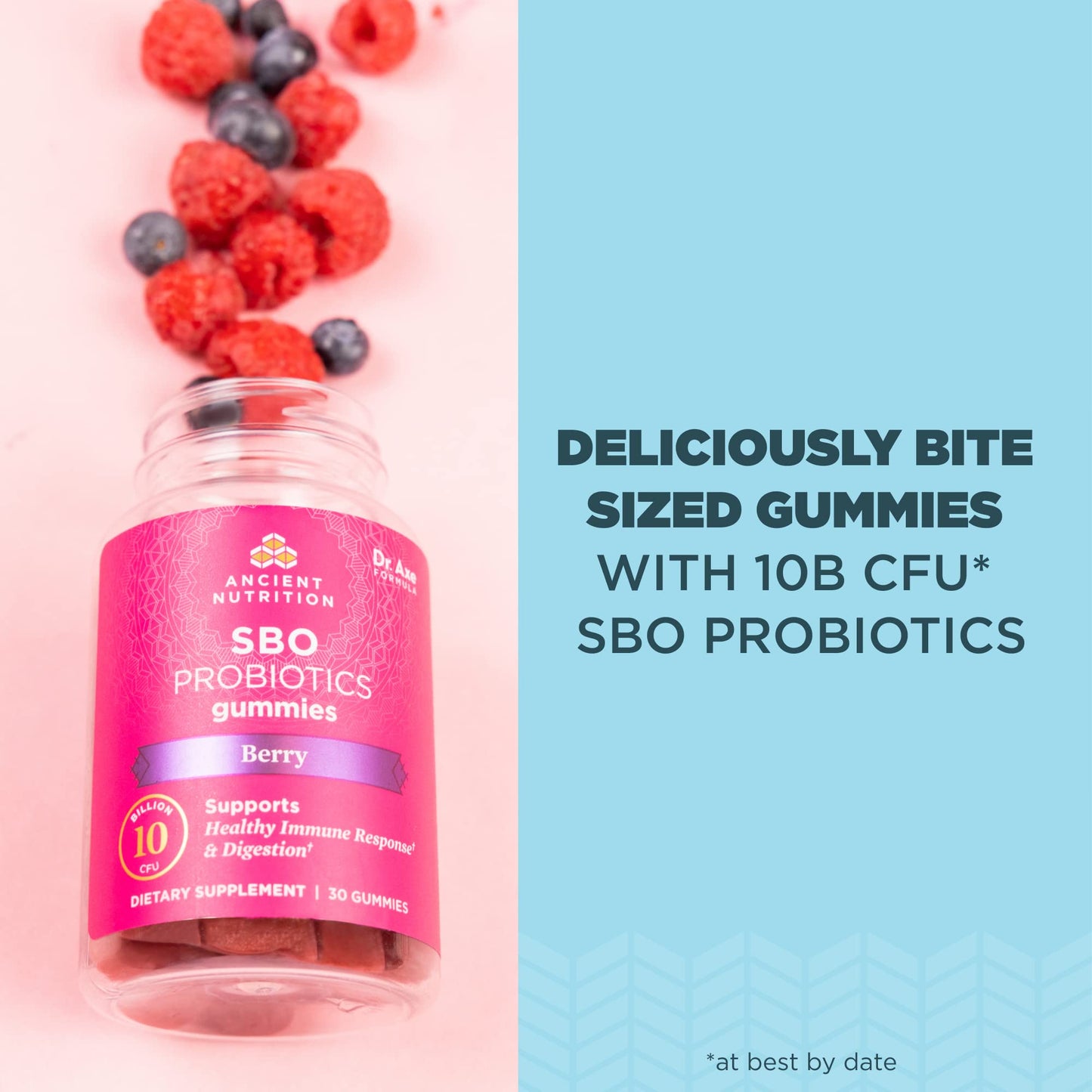Ancient Nutrition SBO Probiotics Berry Gummies – 60 Count, 10B CFU
