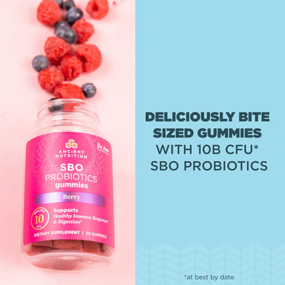 Ancient Nutrition SBO Probiotics Berry Gummies – 60 Count, 10B CFU