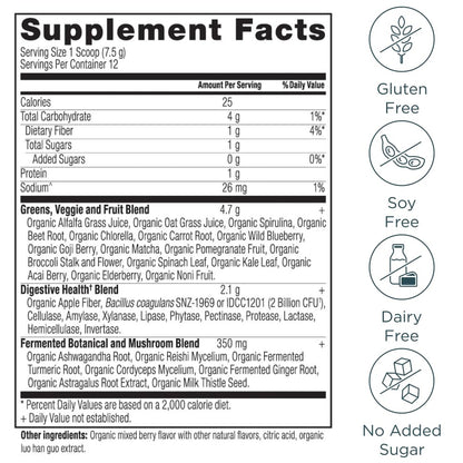 Ancient Nutrition SuperGreens Powder with Probiotics – Organic Berry Flavor, 12 Servings, 3.2oz