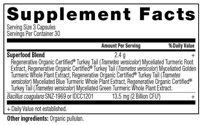 Ancient Nutrition ROC Turmeric Capsules – Joint Support, Inflammation, 90 Count