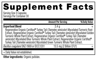 Ancient Nutrition ROC Turmeric Capsules – Joint Support, Inflammation, 90 Count