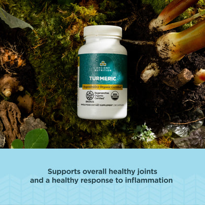 Ancient Nutrition ROC Turmeric Capsules – Joint Support, Inflammation, 90 Count