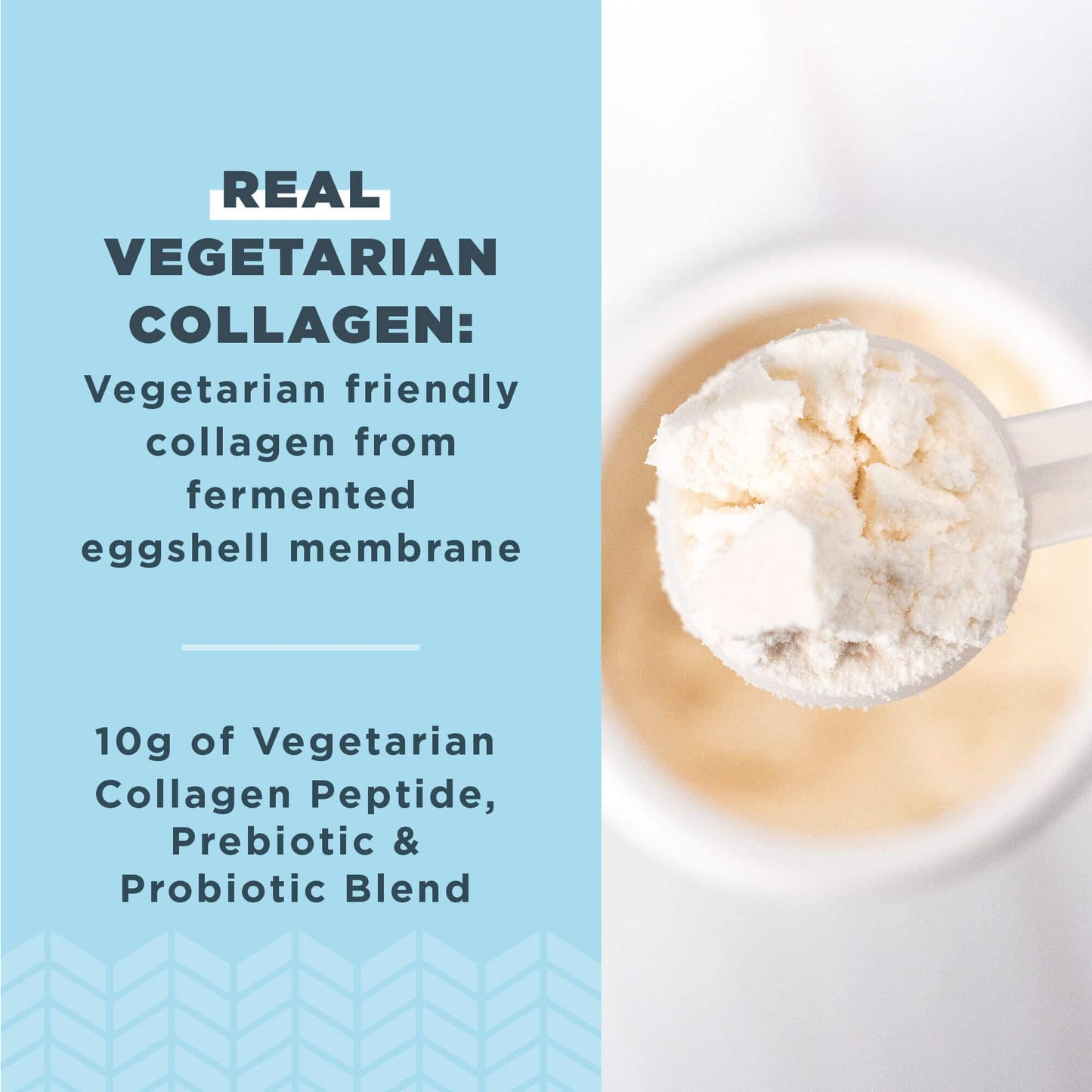 Ancient Nutrition Vegetarian Collagen Peptides – Prebiotics & Probiotics, 28 Servings