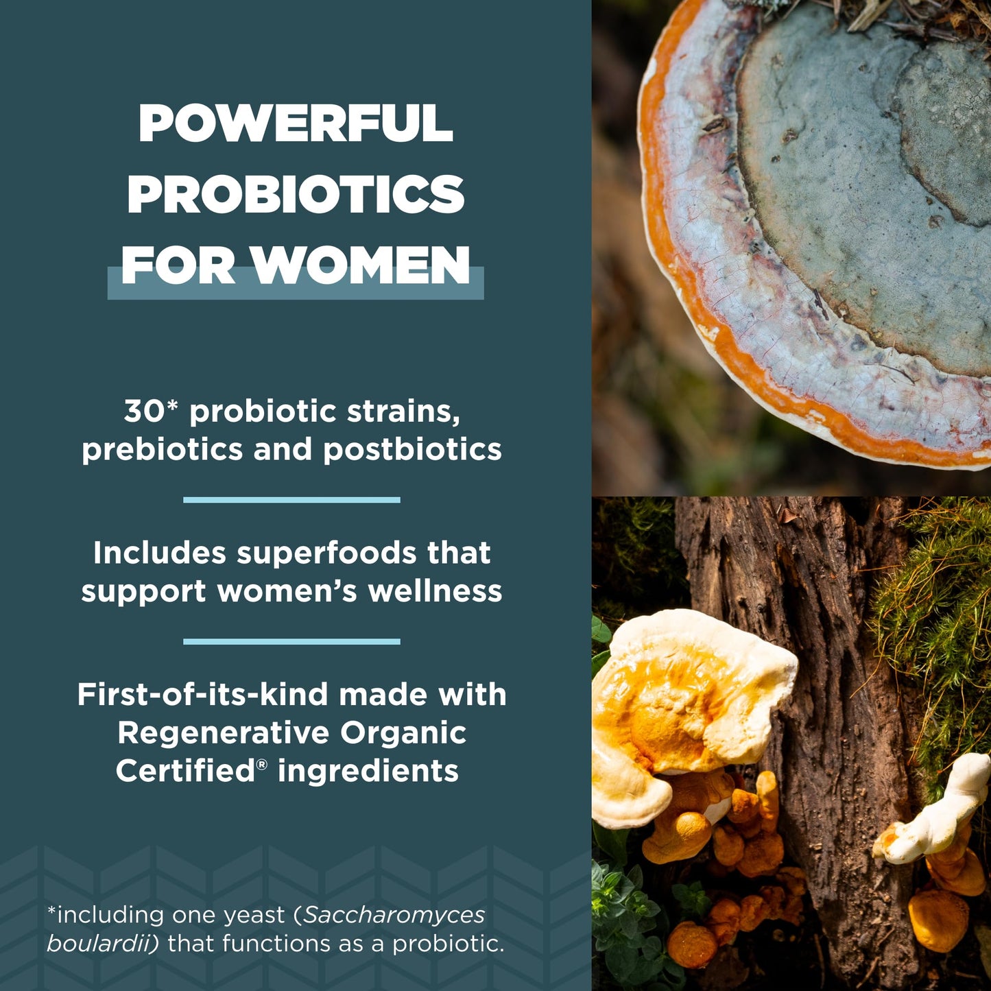 Ancient Nutrition Regenerative Organic Probiotics for Women – 25B CFUs, Once Daily, 30 Count
