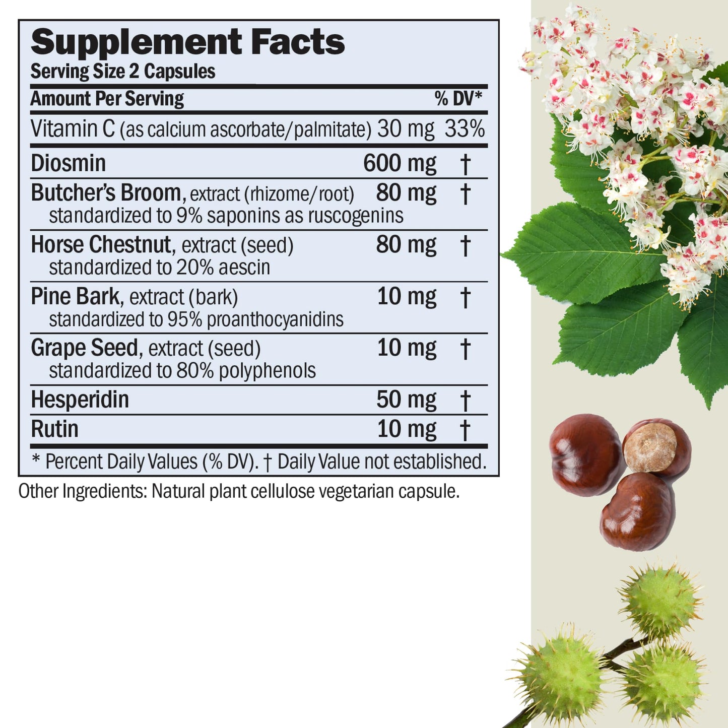 Andrew Lessman Circulation & Vein Support - 30 Capsules | Diosmin, Butcher's Broom