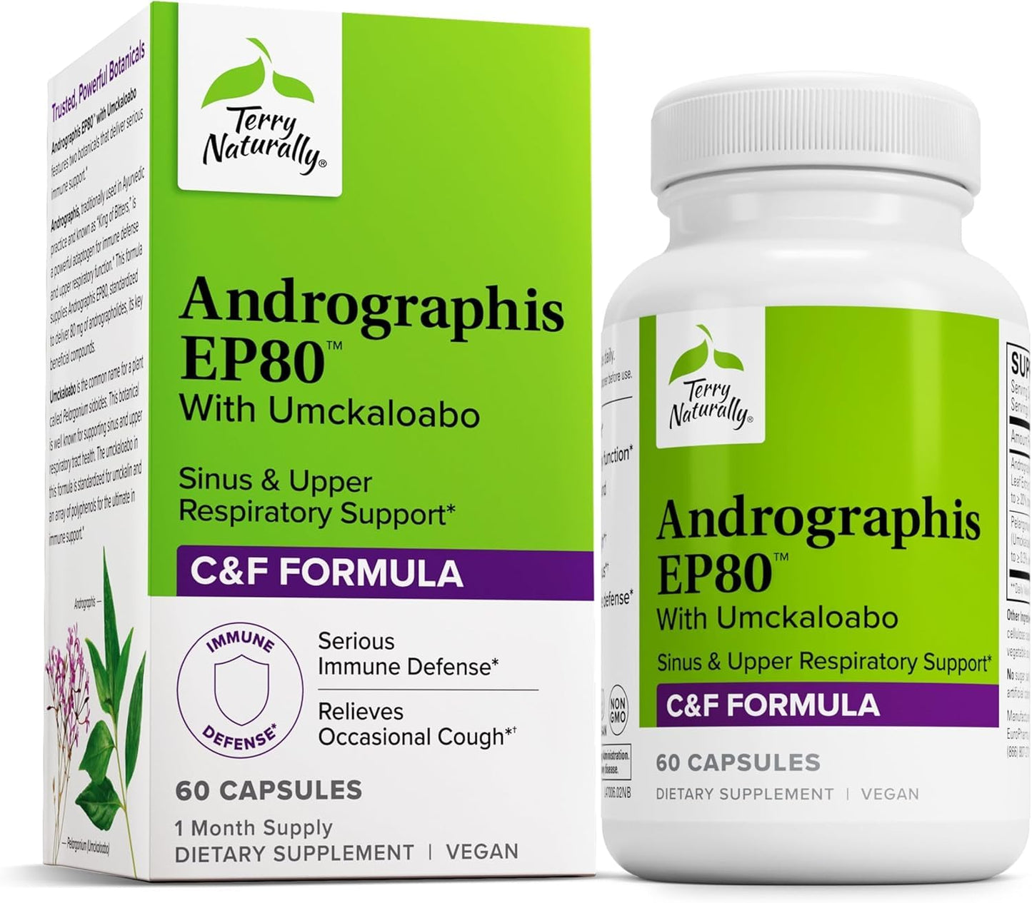 Andrographis EP80 with Umckaloabo – Sinus & Respiratory Support (60 Veg Capsules)