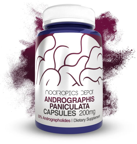 Andrographis Paniculata Capsules 200mg | 60 Count | Supports Immune & Cellular Function BritishVita | Premium UK Vitamins & Wellness Supplements