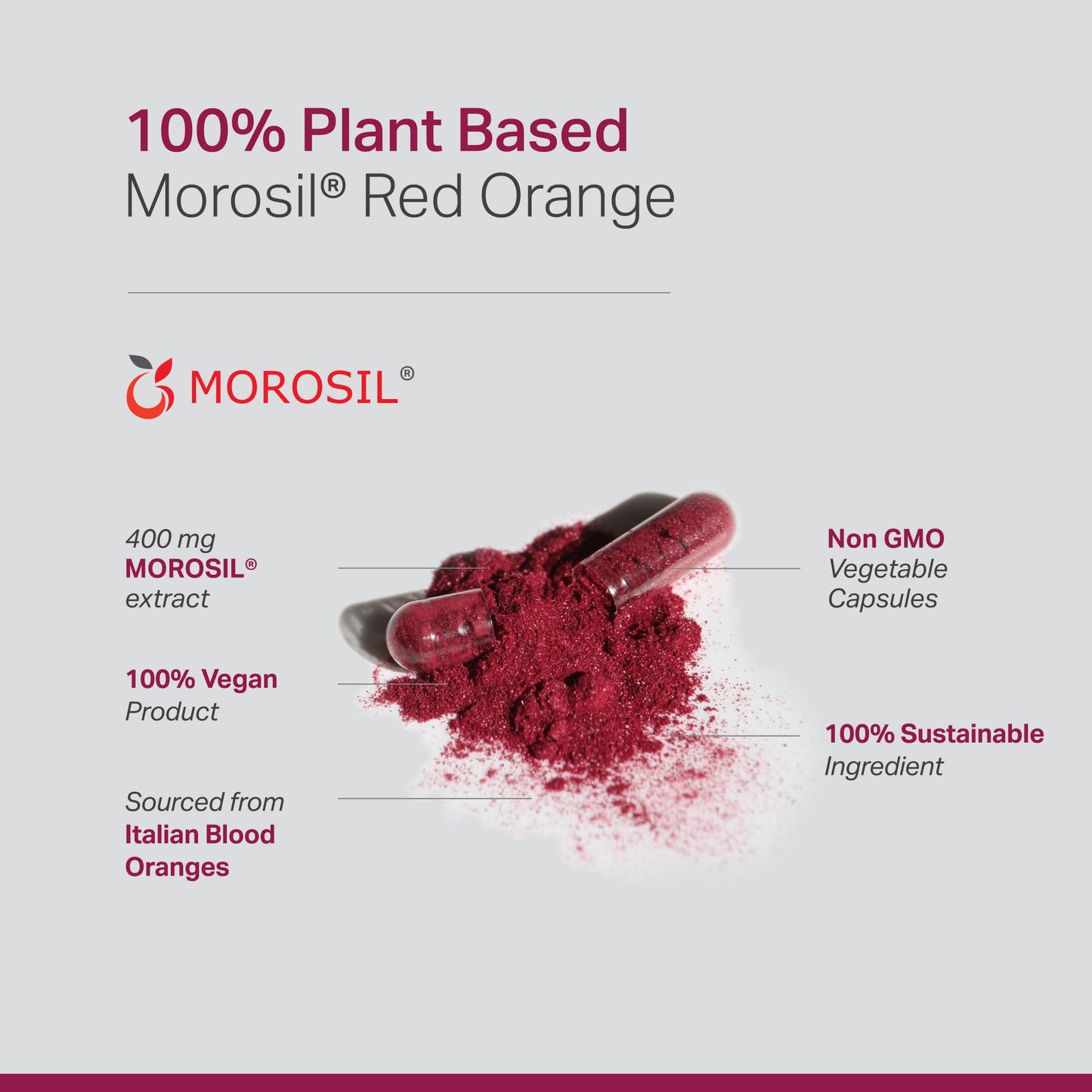 Anew Vita Morosil: Antioxidant & Nutrition Supplement for Men & Women | Made in USA | Non-GMO | Gluten Free | 60 Veg Capsules