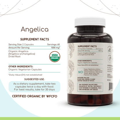 HerbEra Angelica USDA Organic 120 Capsules | Organic Angelica Root Supplement