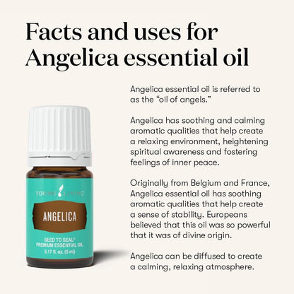 Young Living Angelica Premium Essential Oil – Calming Aromatic Diffuser Blend (5ml)