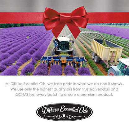 Angelica Root Essential Oil 10ml - Therapeutic Grade | Diffuse Essential Oils
