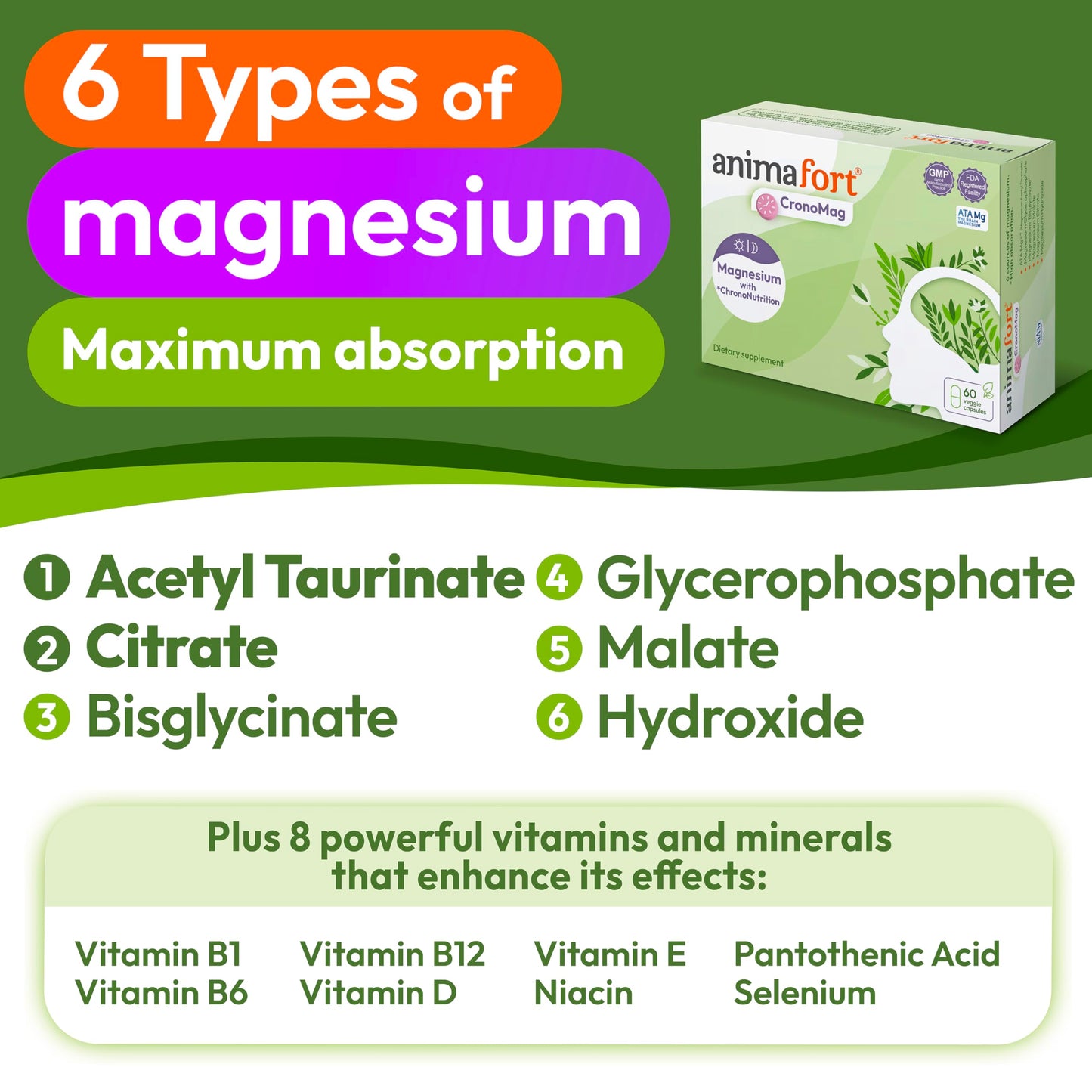 NIAM Laboratorios CronoMag Magnesium Complex | 6 High-Absorption Salts | B12 & D Vitamins | 60 Capsules | Animafort CronoMag