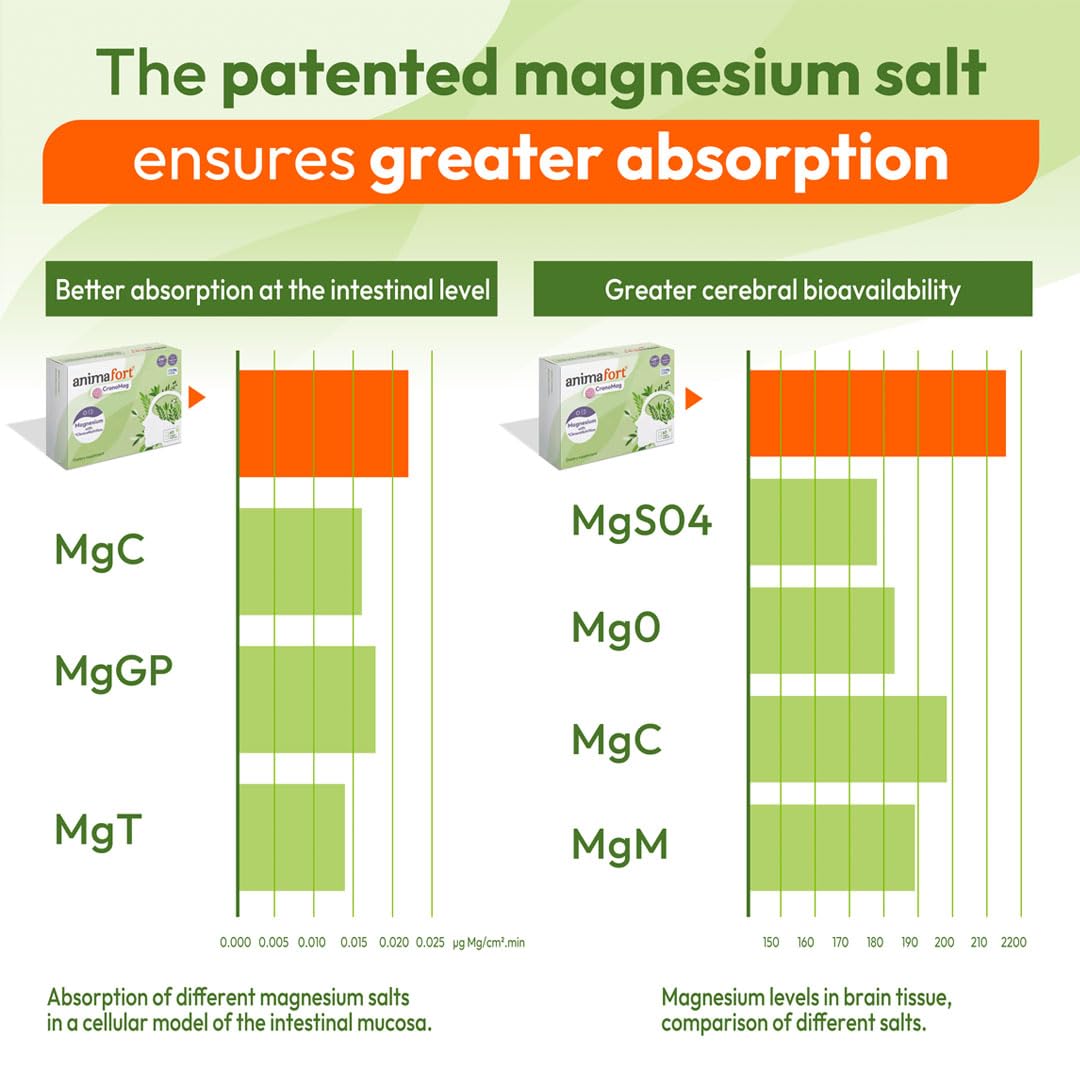 NIAM Laboratorios CronoMag Magnesium Complex | 6 High-Absorption Salts | B12 & D Vitamins | 60 Capsules | Animafort CronoMag