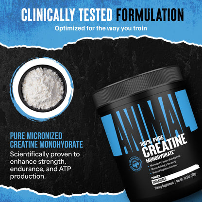 Animal Creatine Monohydrate Powder – 300g Unflavored Micronized Creatine
