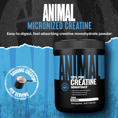 Animal Creatine Monohydrate Powder – 300g Unflavored Micronized Creatine