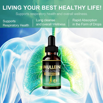 ANKUY Mullein Drops for Lungs – Lung Detox & Respiratory Support (2 Fl Oz)