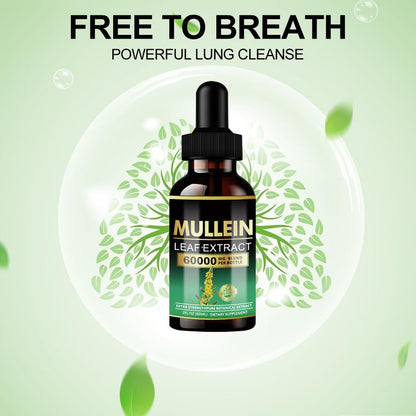 ANKUY Mullein Drops for Lungs – Lung Detox & Respiratory Support (2 Fl Oz)