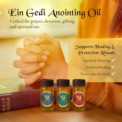 Anointing Oil for Prayer – 3 Bottles (10ml each) | The Original Bible Perfumes – Lion of Judah, King David & King Solomon | Made in The Holy Land | Ein Gedi