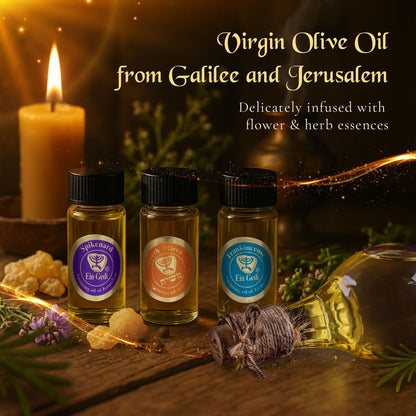 Anointing Oil for Prayer – 3 Bottles (10ml) Frankincense, Myrrh & Spikenard | Holy Land - Ein Gedi