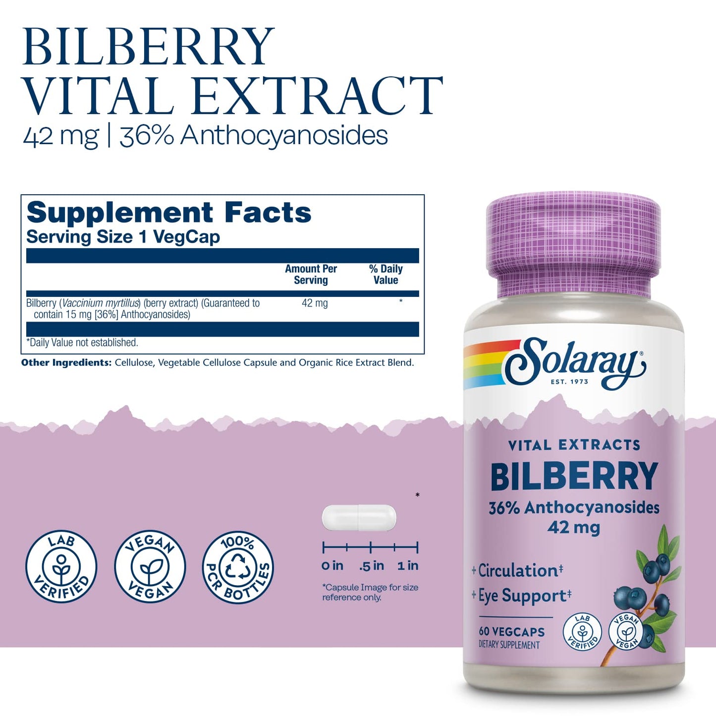 SOLARAY Bilberry Extract 42 mg – Eye Health & Circulation Support | 60 VegCaps