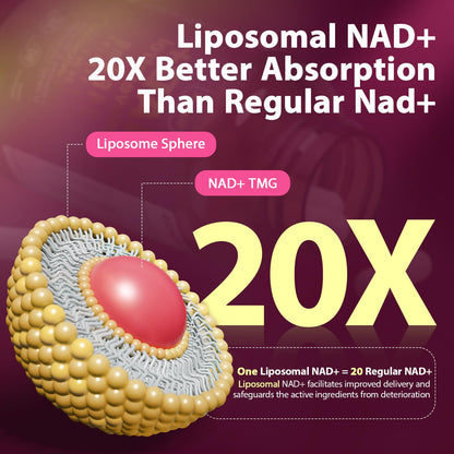 NAD Supplement 1100mg + Resveratrol 600mg | Liposomal NAD+ Capsules with Pterostilbene & Quercetin - Sizyok