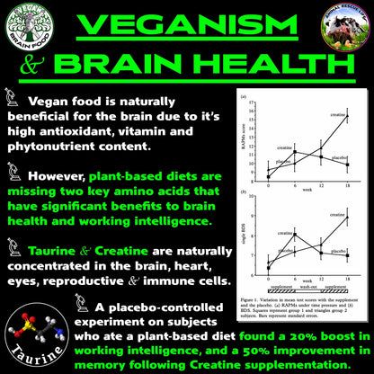 Vegan Brain & Body Boost: The Cherry On Top of a Plant-Based Lifestyle | Working Intelligence | Anti-Aging | Physical Fitness | Vegan Amino Acids - Creatine, Taurine & Beta Alanine | 40 Servings/300g