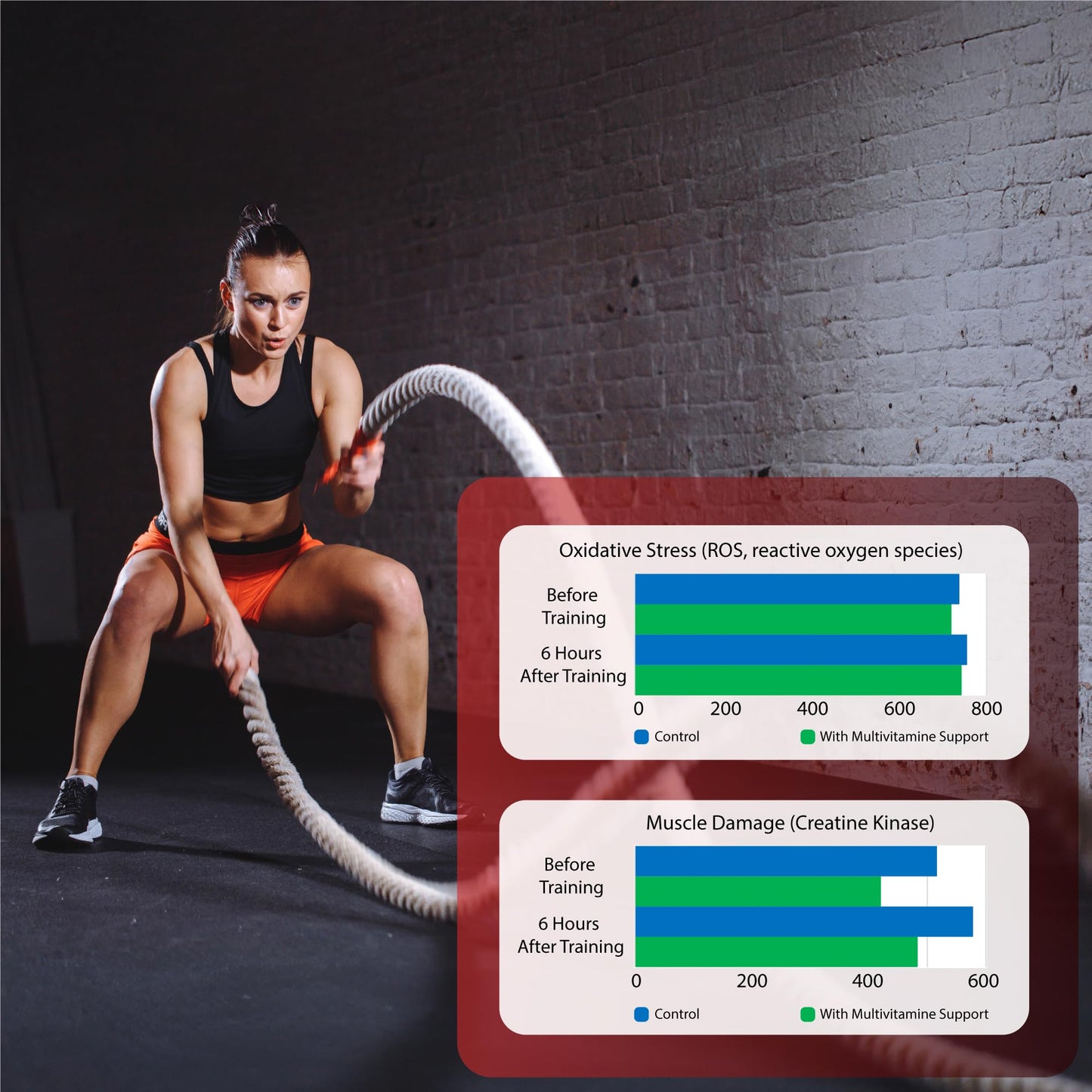 Multivitamin with Creatine & BCAA for Cardio & Recovery | Heart & Muscle Protect