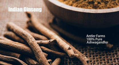 Antler Farms Ashwagandha 130 Capsules | 1200mg, 5% Withanolides