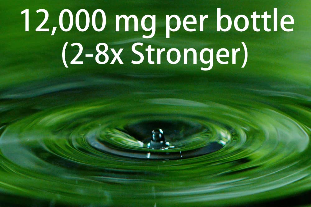 Antler Farms – 100% Natural Liquid Chlorophyll Drops, 12,000 mg, Mint Flavor, 60 Servings