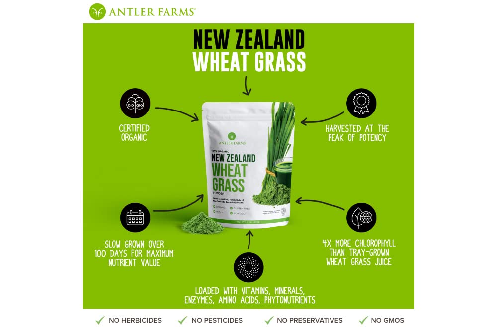 Antler Farms Wheatgrass Powder 200g – 100% Pure Organic NZ, 40 Servings