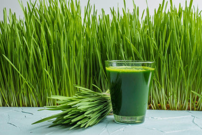 Antler Farms Wheatgrass Powder 200g – 100% Pure Organic NZ, 40 Servings